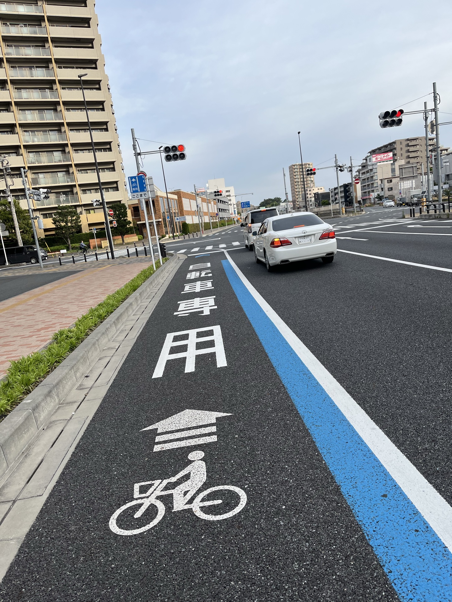 都内の自転車専用レーンを走る