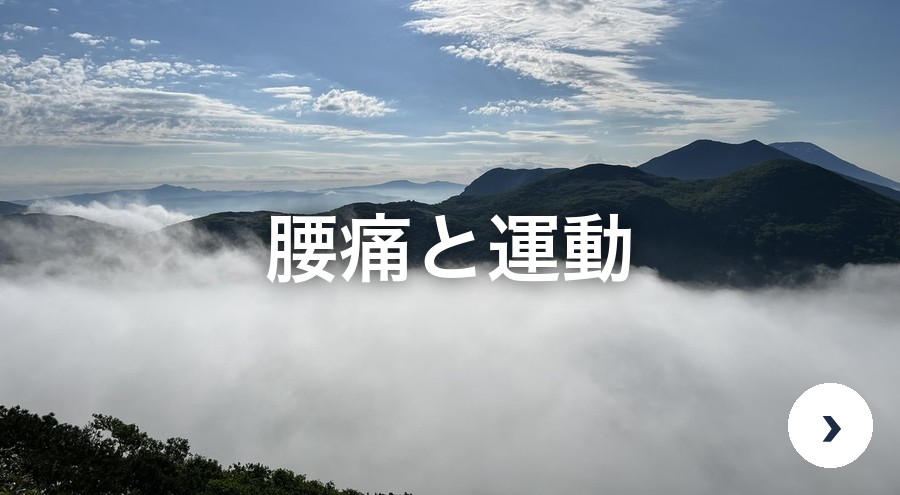 腰痛と運動