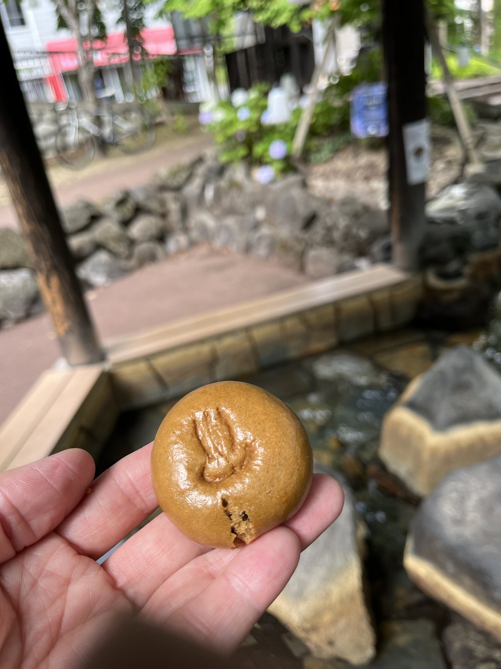 温泉まんじゅうのアップ