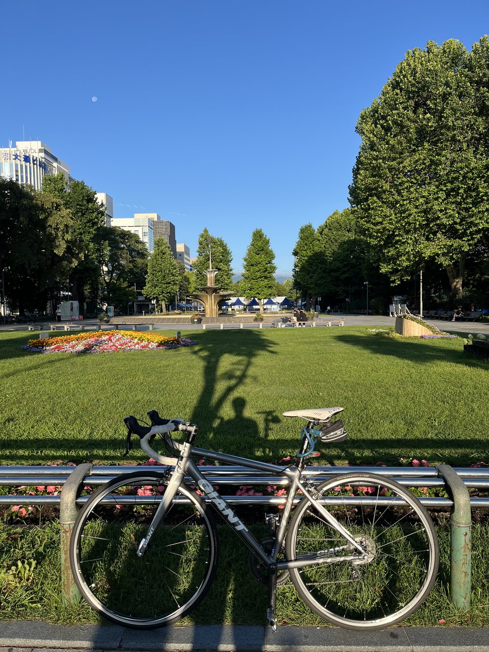 朝の大通公園の花壇