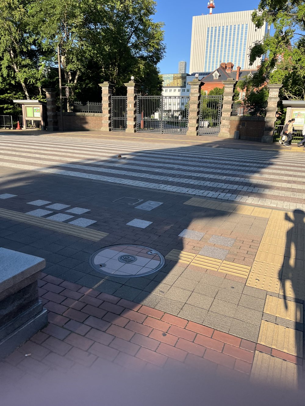 リスが横断した交差点