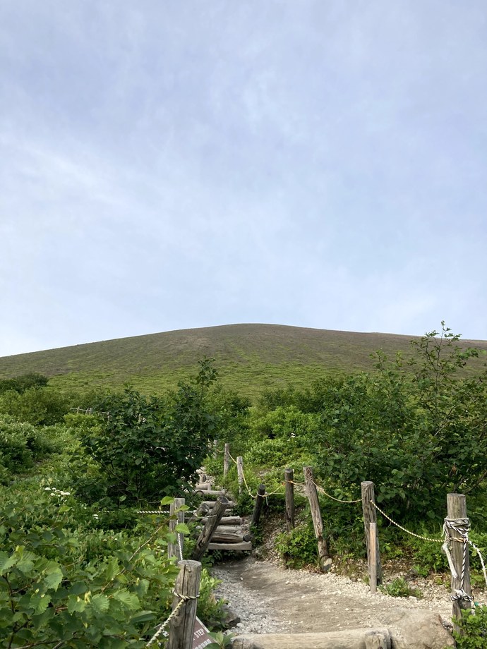 樽前山七合目からの登山道、両側は低い林