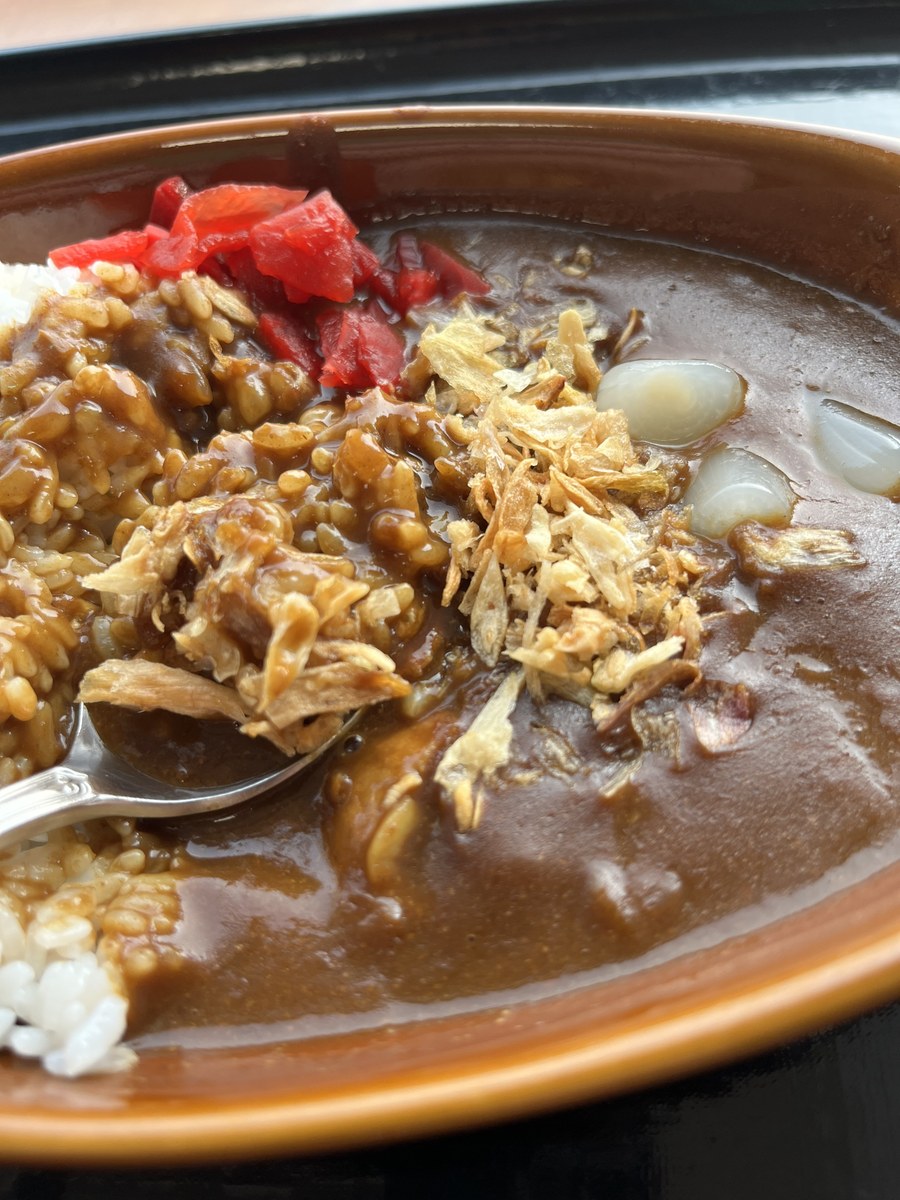 札幌黄のフライドオニオンがかかった丘珠ミニカレー