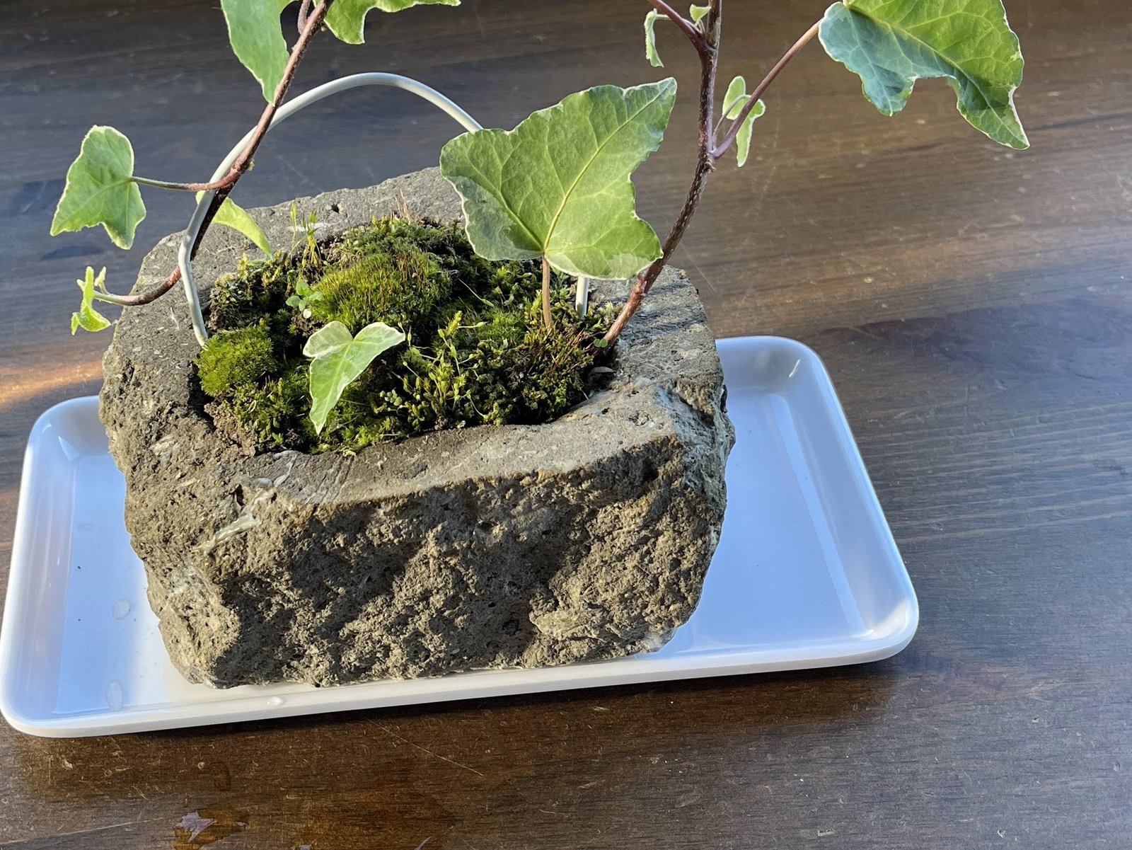 札幌軟石をノミで掘り込んで作った石の植木鉢