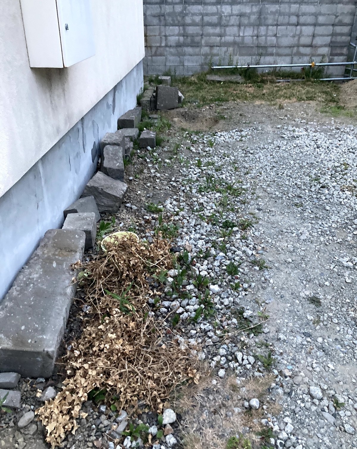 2021年、家の壁際に並べて置いていた札幌軟石