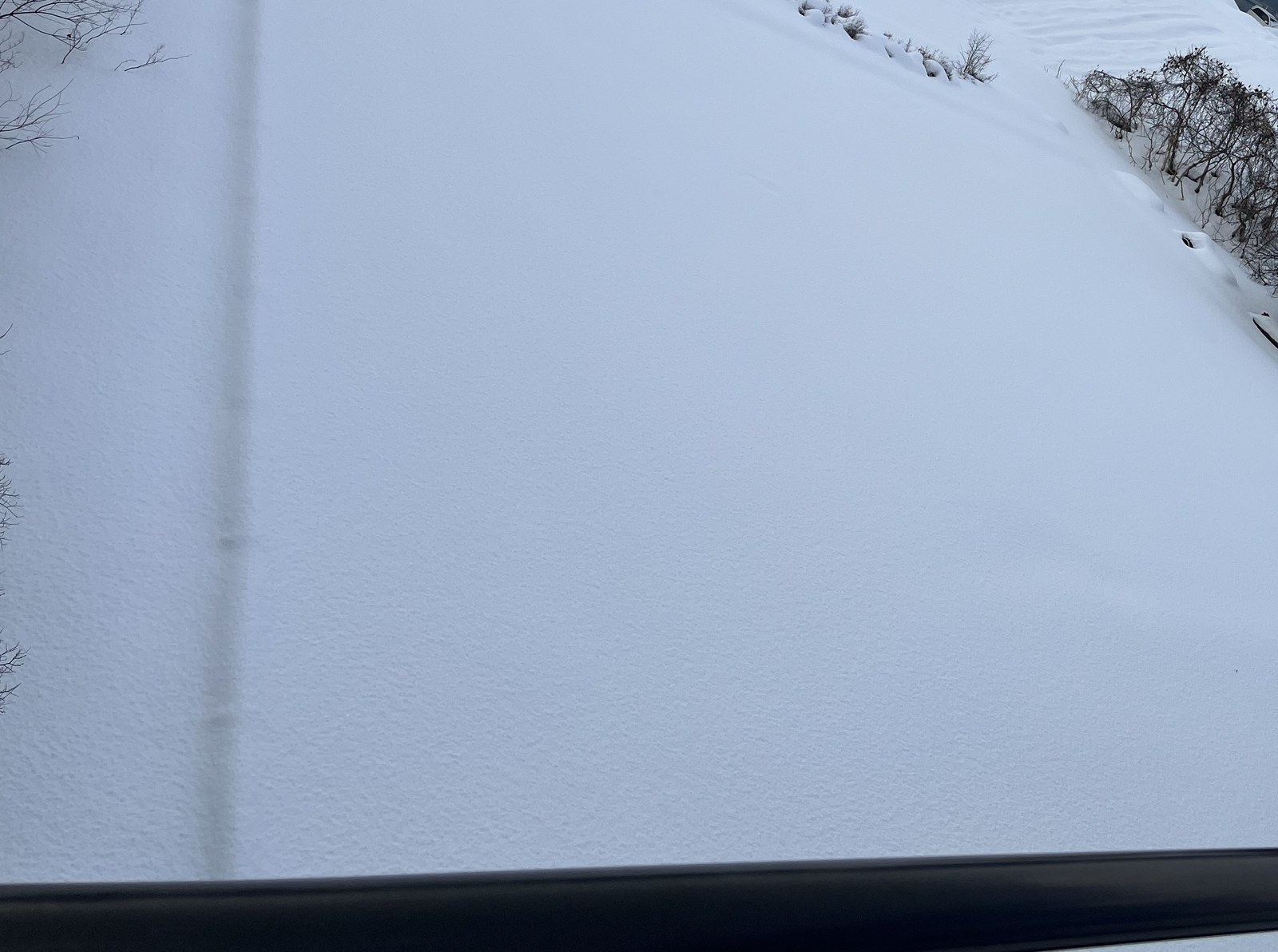 下見に行った日の雪原。橋の手すりに新雪は載っていない